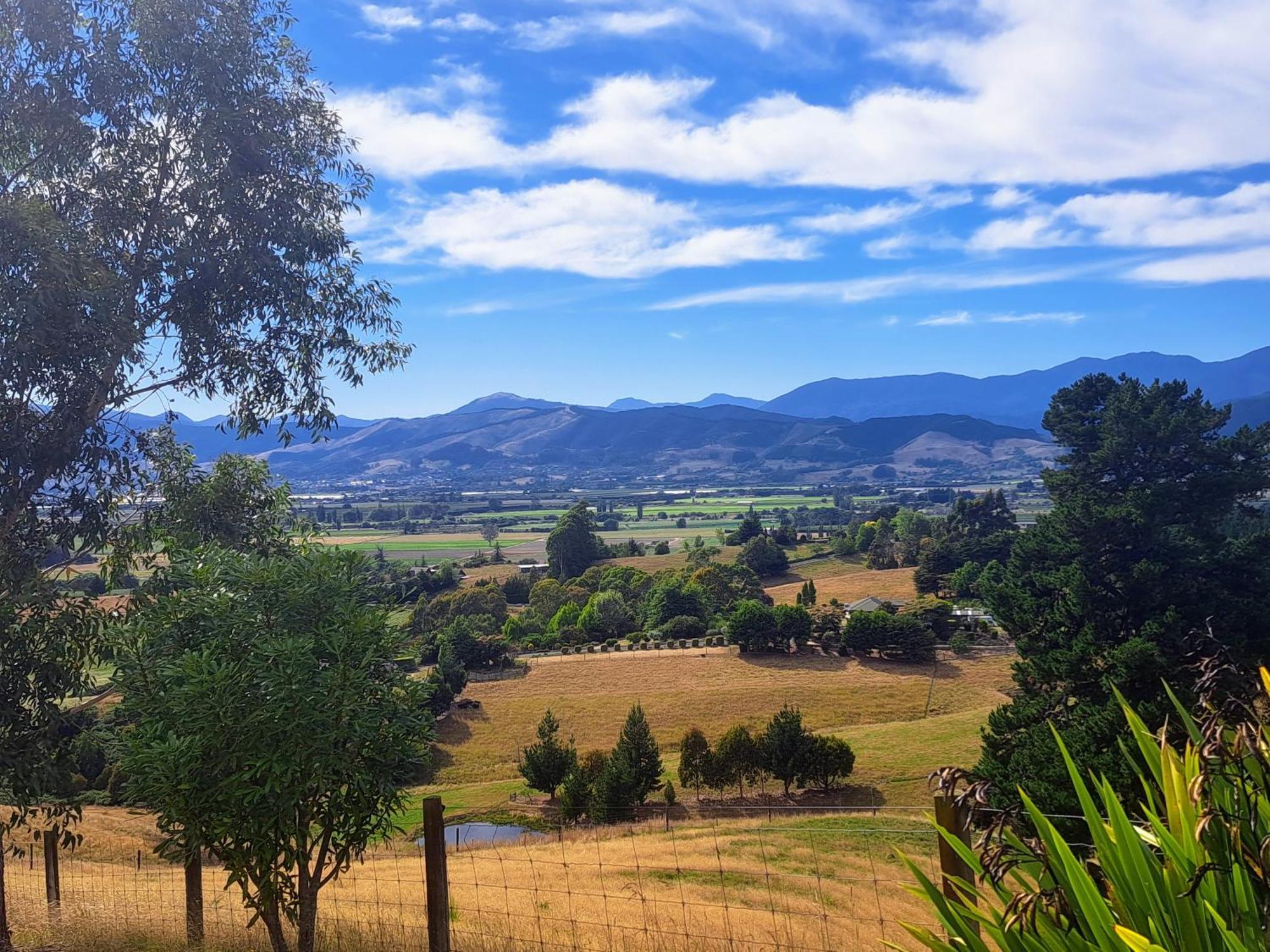 Golden Hills Farm Cottage Nelson Bagian luar foto