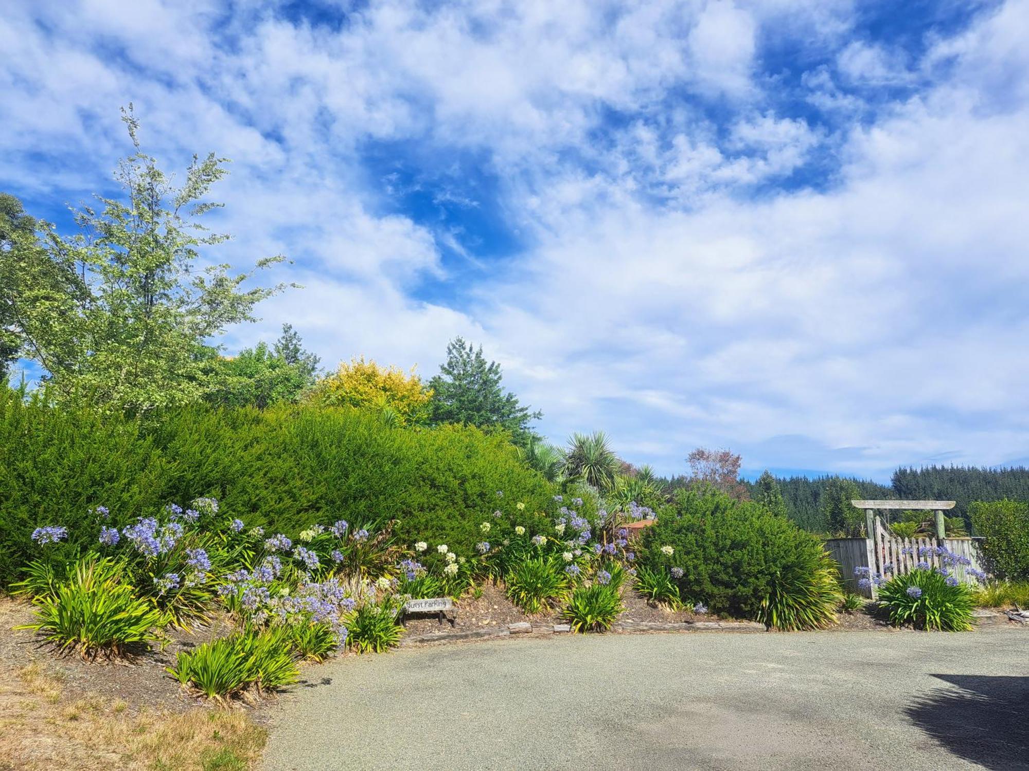 Golden Hills Farm Cottage Nelson Bagian luar foto