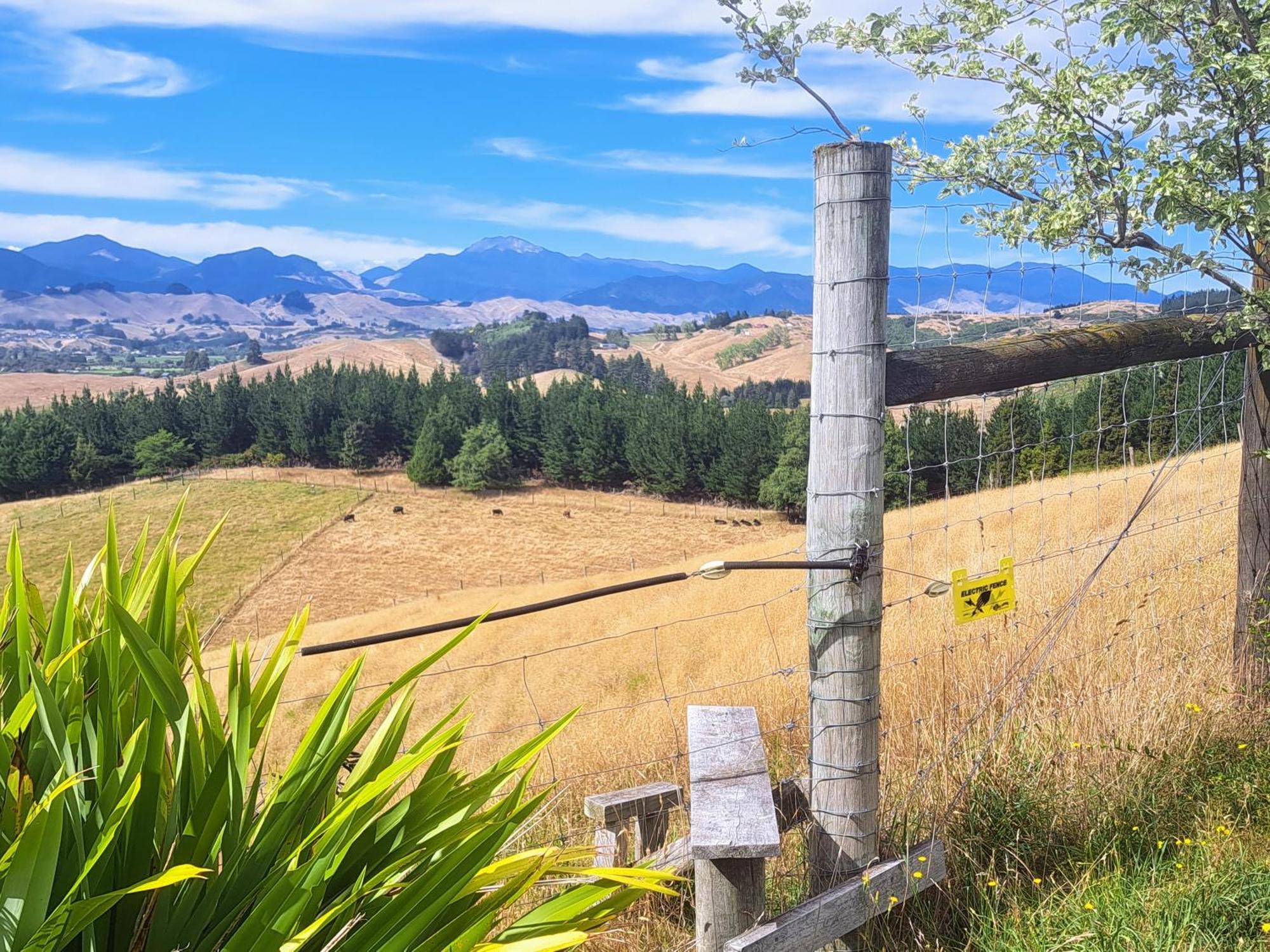 Golden Hills Farm Cottage Nelson Bagian luar foto