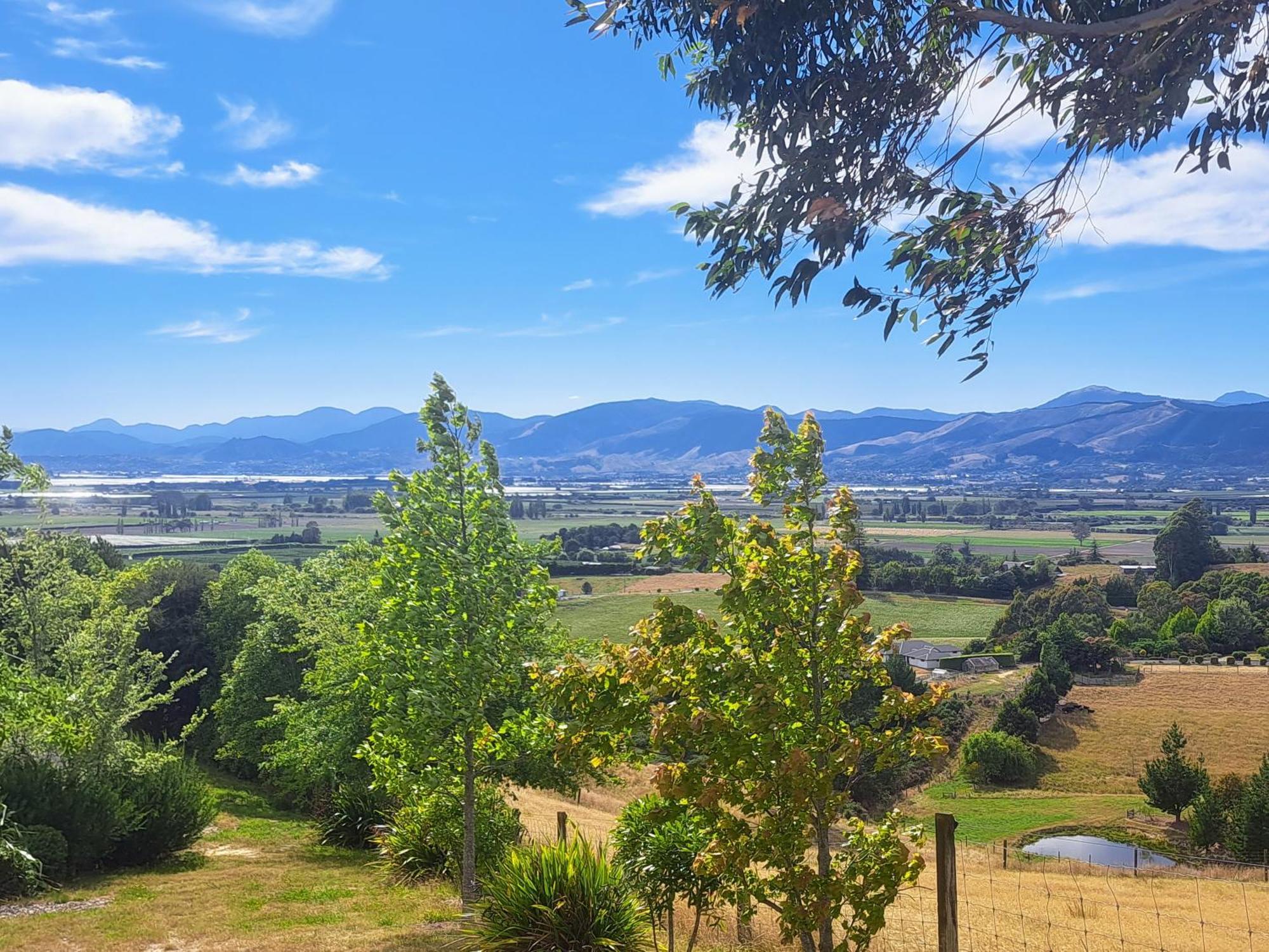 Golden Hills Farm Cottage Nelson Bagian luar foto