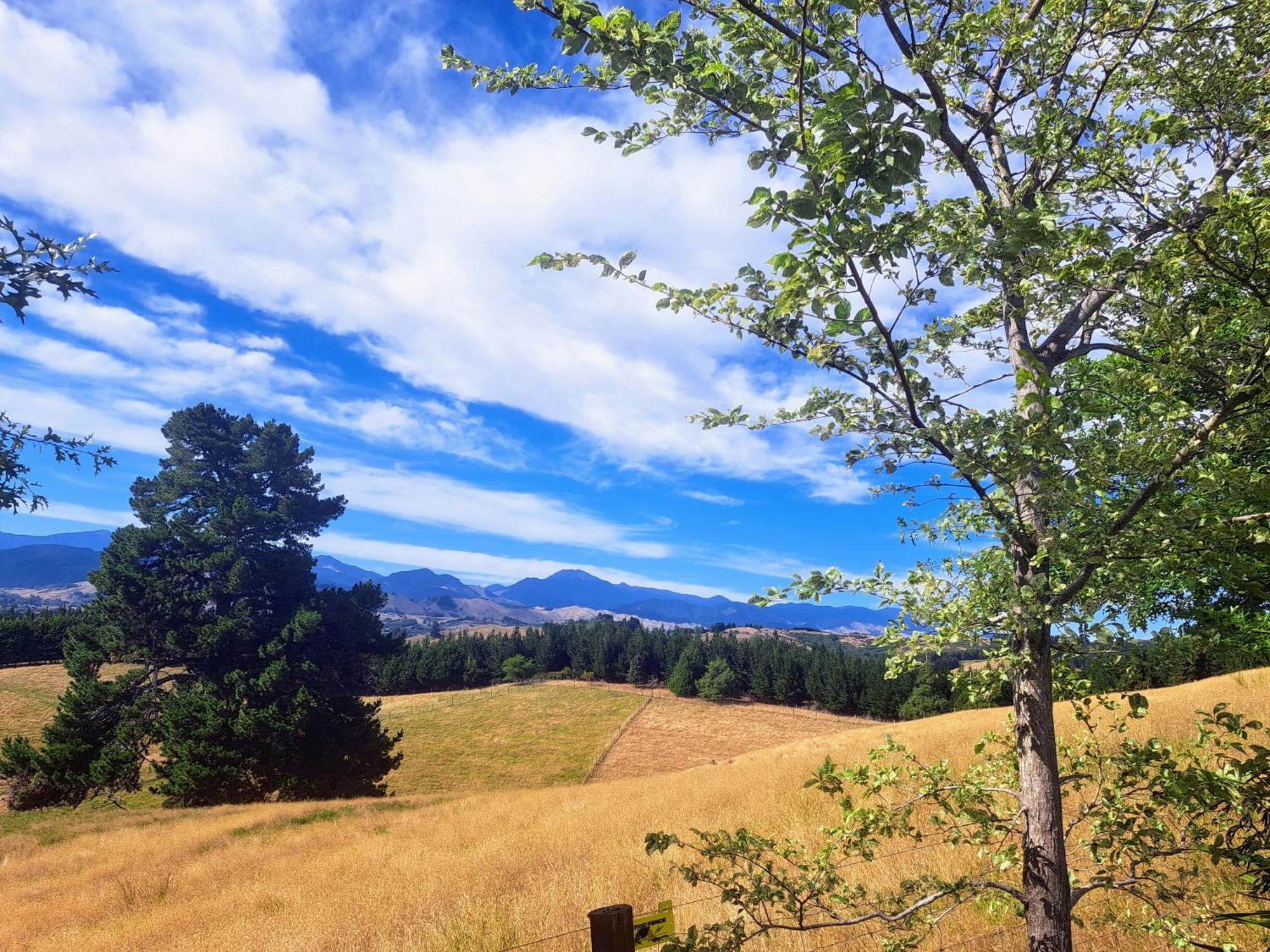 Golden Hills Farm Cottage Nelson Bagian luar foto